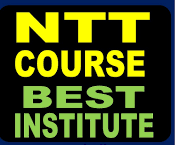 NTT (Diploma Nursery Teachers Training)